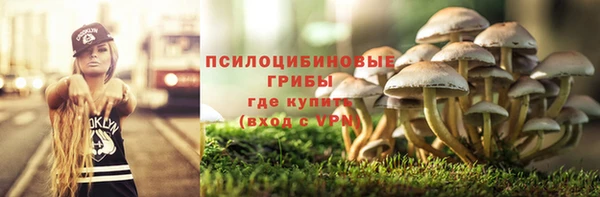 PSILOCYBIN Белокуриха