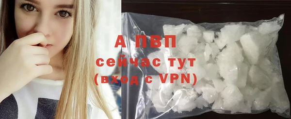 PSILOCYBIN Белокуриха