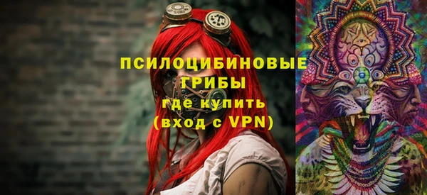 МДПВ Михайловск