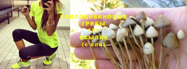PSILOCYBIN Белокуриха
