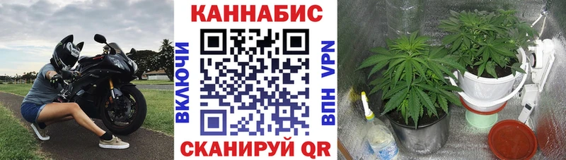 наркота Бирюсинск Конопля Amnesia